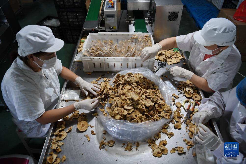 玩家世界登录